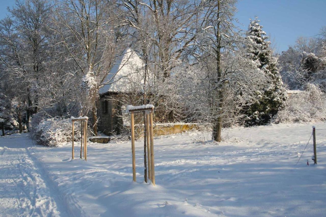 Hotel Und Restaurant Rittergut Kreipitzsch Наумбург Екстериор снимка